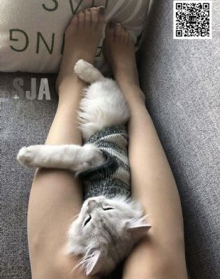 朋友的女儿5_2019国语AV首页