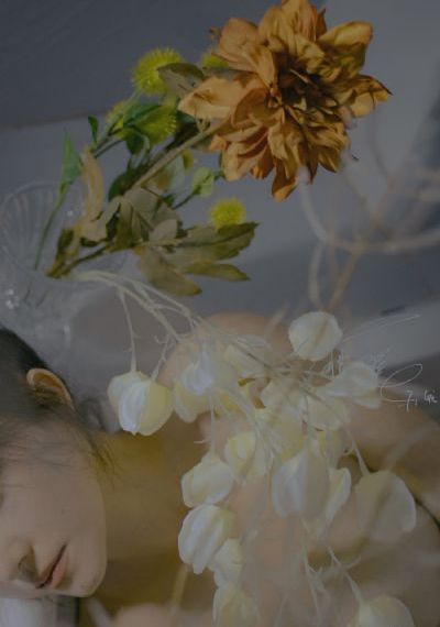 太子妃升职记_手机免费观看